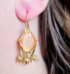 Tulip Pop