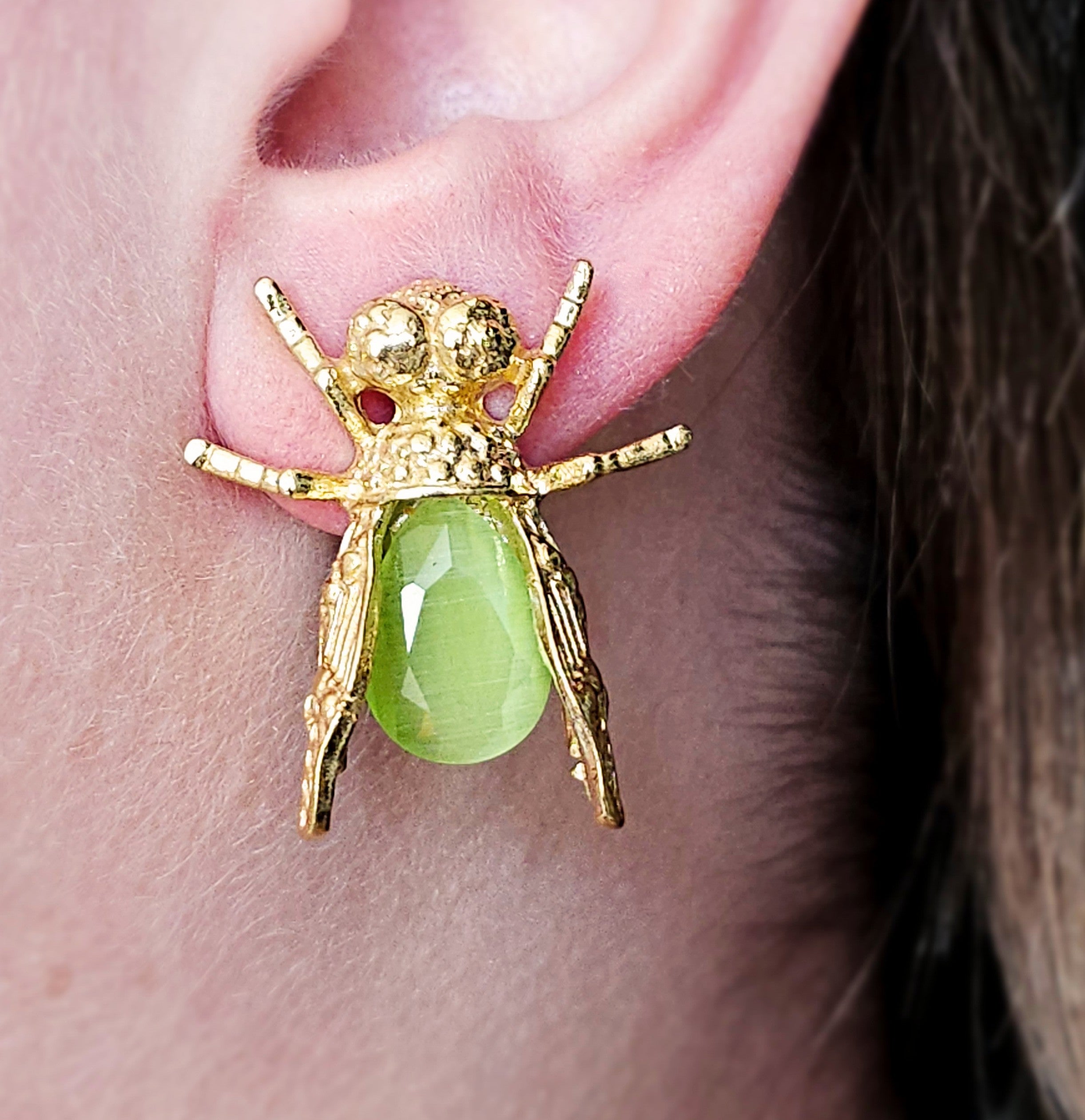 Insecta Lux