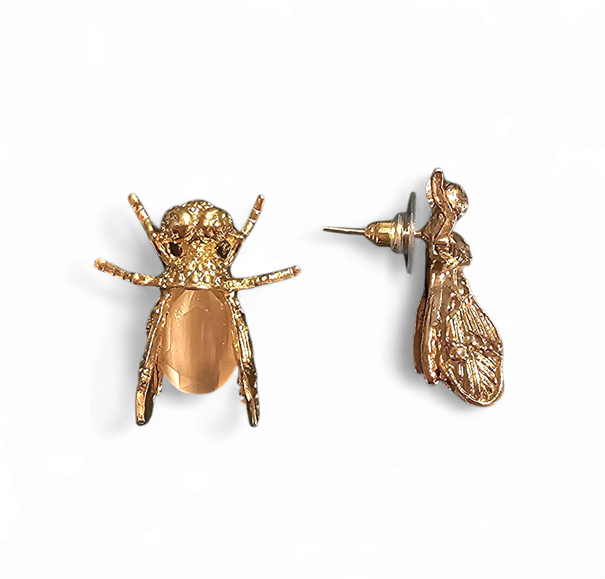 Insecta Lux
