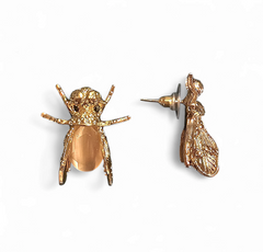 Insecta Lux