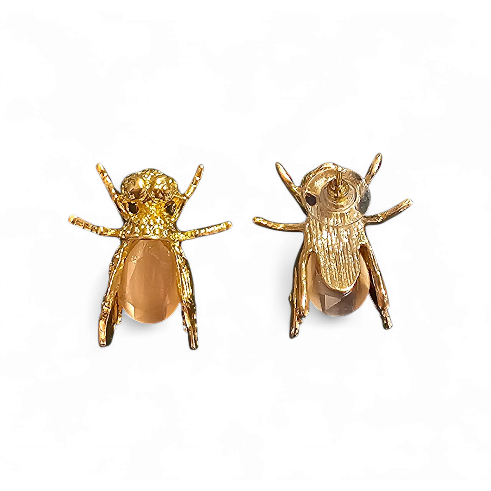 Insecta Lux