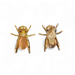 Insecta Lux